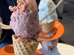 -野人牧坊Gelato(天津南开大悦城店)