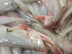 -开鑫鱼厂·宁波海鲜(前程智慧城店)