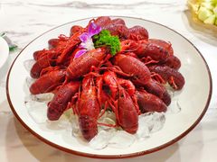 -张鸟园农家乐(张鸟园店)