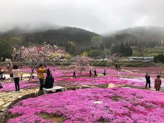-棒棰岛宾馆景区