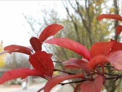 -仙海旅游度假区