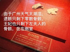 -南越王博物院