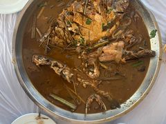 -庆岭迎宾园正宗活鱼馆