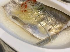 白水鱼-太湖饭店·寄畅轩中餐厅