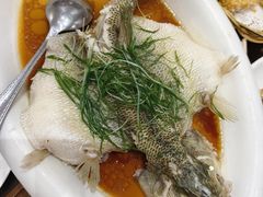 清蒸游水加州鲈鱼-金騰閣·经典粤菜(汾江中路店)