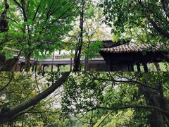 -粤晖园