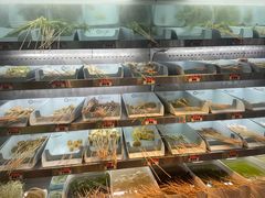 -屋头串串(龙潭寺店)