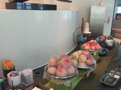 -虹桥机场国航贵宾室v8