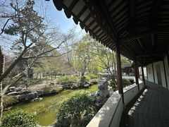 -秋霞圃