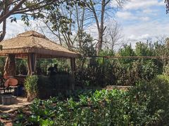 -苏记溪河鲢鱼庄(天府新区店)