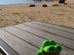 -上海月湖雕塑公园