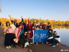 -金塔沙漠胡杨林景区