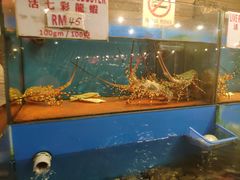-真浪花园海鲜餐馆