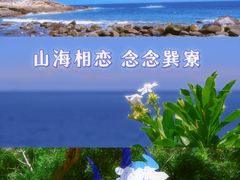 -广东惠东海龟国家级自然保护区