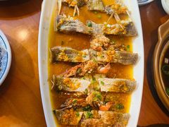 -鸽舞笙平金牌烧鸽子·融合菜(鲁谷店)