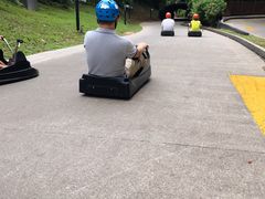 -圣淘沙天际线斜坡滑车