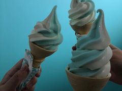 -NOME(太阳百货店)