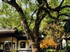 -杭州九堡客运中心