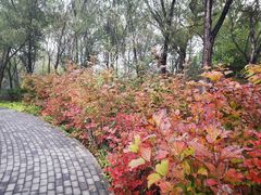 -翠湖国家城市湿地公园