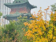 -迎泽公园