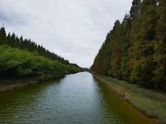 -黄海国家森林公园