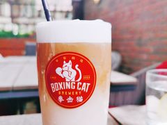 -Boxing Cat Brewery拳击猫精酿啤酒馆(永福店)