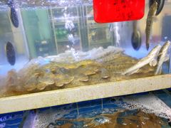 -金海湾海鲜排档(朱家尖店)