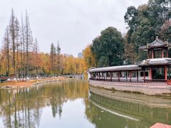 -温江公园