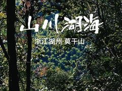 -莫干山风景区