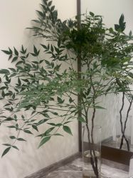 -智美品质医美