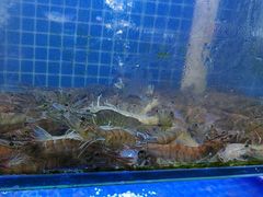 -海帮主·蒸汽海鲜青岛菜(栈桥火车站店)