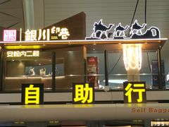 -银川河东国际机场