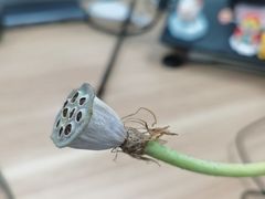 -北京清河万象汇
