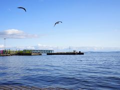 -商业广场(Praça do Comércio)