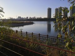 -长白岛森林公园