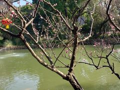 -上海醉白池公园