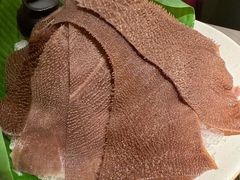 -九鼎轩脆毛肚火锅(三钢里店)