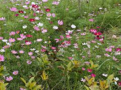 -三亚南山文化旅游区