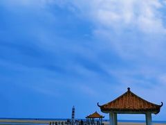 -东郊椰林