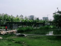 -西海子公园
