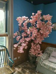 -星豆豆儿童摄影(南郊太白南路店)