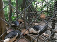 -三亚千古情景区游客中心-接待中心