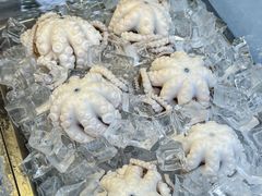 -铭聚章鱼土笋冻(松柏店)