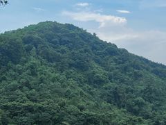 -火炉山森林公园