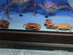 -阿伟海鲜楼·福建菜(延寿店)