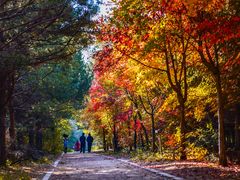 -长春市南湖公园