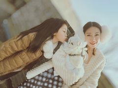 -自如ZSPACE四合院艺术餐厅