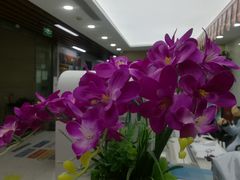 -新航道雅思托福·留学·考研培训(人民广场校区)