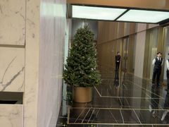 -尼依格罗香港美利酒店