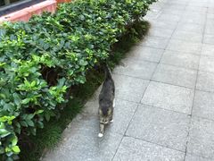 -嘉善老市